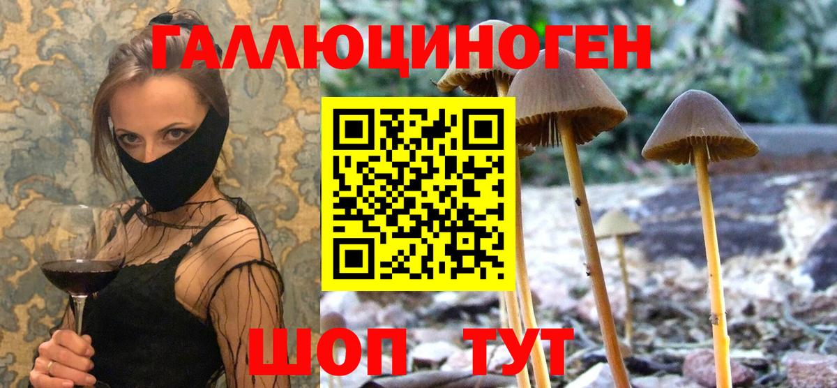 Галлюциногенные грибы ЛСД Гурьевск