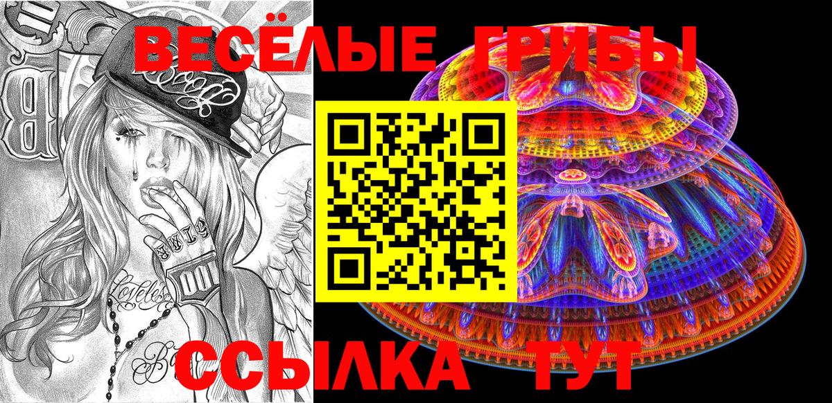 Меф Гурьевск